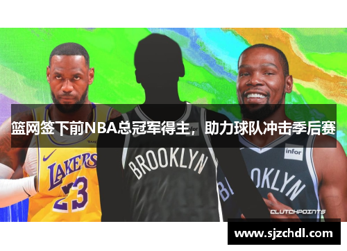 篮网签下前NBA总冠军得主，助力球队冲击季后赛